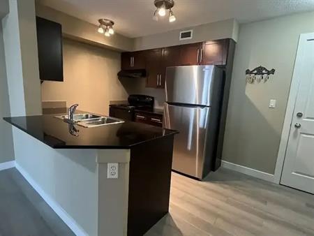 1 bedroom/1 full bath condo in Saddleridge | 214 - 7180 80 Avenue NE, Calgary