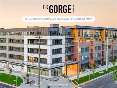 The Gorge - 1 Bedroom - Available Now