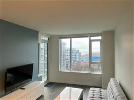 $2,700 / 1br - 575sqft - luxury furnished 15th floor condo