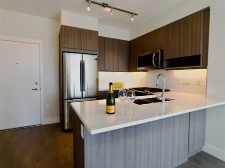 1 Bedroom Penthouse Level Condo w/Parking & Storage (New Westminster)