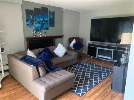 Large 2 Bedroom Apartment For Rent