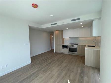 Brand New 2Bedroom Condo Close to Lougheed Mall