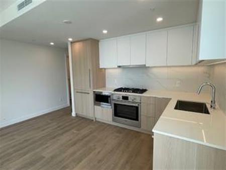 Brand New 2 Bdrm condo close to Lougheed Town centre move in READY!