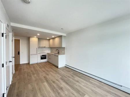 Modern Surrey Central Georgetown 1 Bedroom 1 Bath apartment