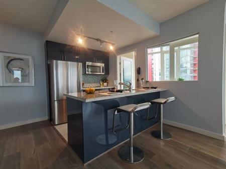 2 Bedroom / 2 Bathroom Coal Harbour Condo Views!