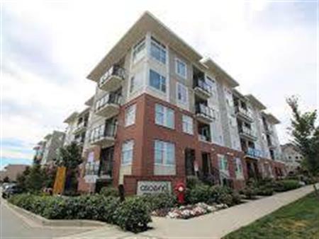 Fleetwood One Bedroom Condo - Ascend