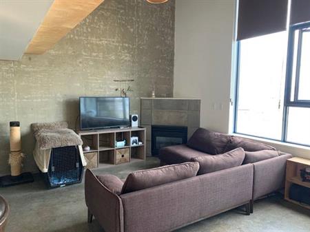 2 level LOFT 900 sq. ft. Apartment