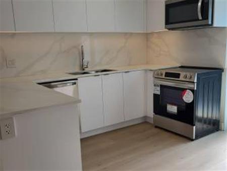 Just Renovated 2 Beds, One Bath - Upper Lonsdale