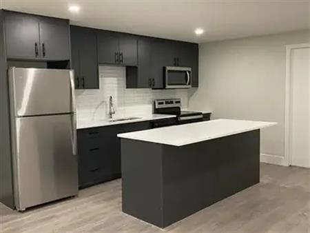 NEWLY RENOVATED - HUGE 2 BEDROOM BASEMENT APARTMENT 1400 SQFT | 96 Cedarbrook Way Southwest, Calgary