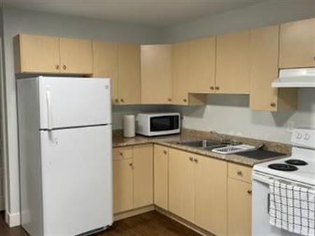 1 Bedroom Suite (146st and 82nd Ave)