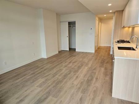 Brand new studio condo near Lougheed skytrain station in west Coquitla