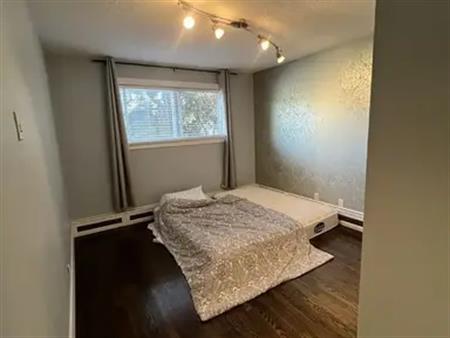 Newly renovated 2 bed condo right off 17th! | 203 - 1530 16 Avenue Southwest, Calgary