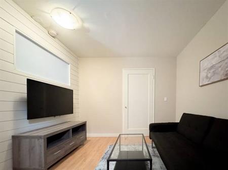 Available November 1st - Pet Welcome Furnished 1 Bedroom @ 935 Jervis