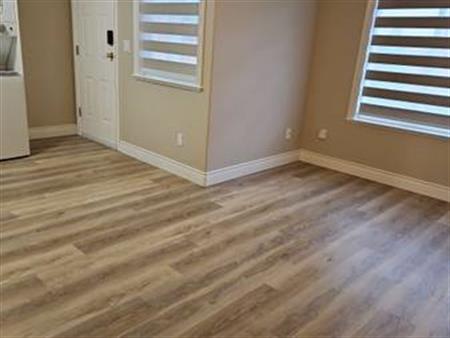 Utilities and Wifi included, newly renovated 1 bedroom ground level suite