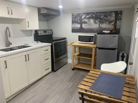 New Reno Furnished Basement Apartment