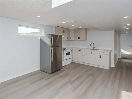 Modern 3 Bed 1 Bath Basement Suite | 7424 41 Avenue Northwest, Edmonton