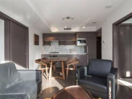 Available: November 1st-PET Friendly Furnished 1 BEDROOM @ 38 Smithe