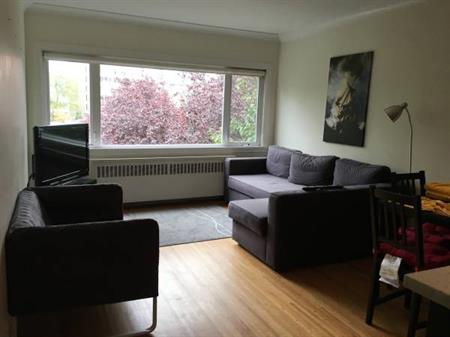 RENOVATED-AVAILABLE November 1-Pet Friendly Furnished 1 BR @ 1540 Haro