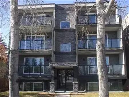 Single Bedroom Condo | 303 - 817 5 Street Northeast, Calgary