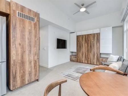 PENTHOUSE - Pet Friendly Studio@1170 Barclay-Available October 1st