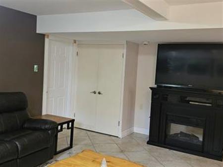 Upscale luxurious furnished one bedroom basement suite