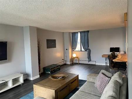 Furnished 2 Bedroom Condo in Downtown