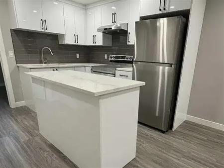 Brand New 1 Bedroom + Den Legal Basement Suite! | Calgary