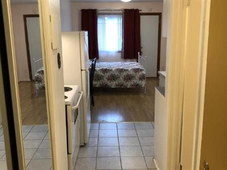 1 1/2 - Montréal (Le Plateau Mont-Royal) - $1 250 /mois