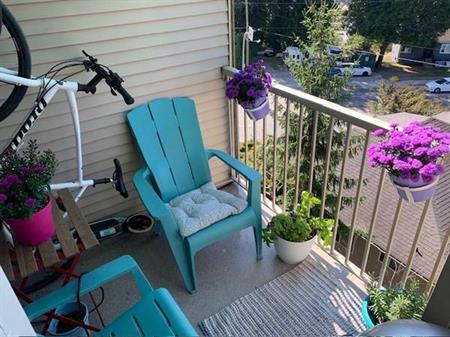 Beautiful 1BD (Central Abbotsford)