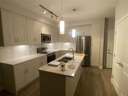 1 bed 1 bath new apartment Langley