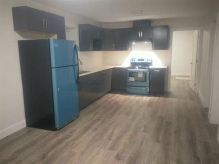 2BR BASEMENT NEW