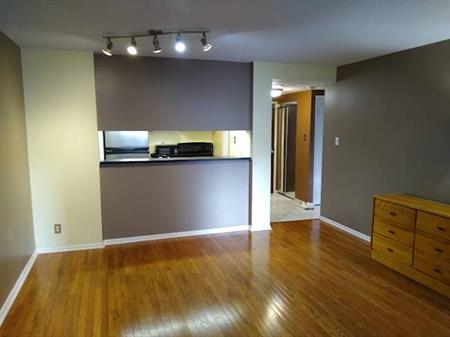 Spacious condo for rent