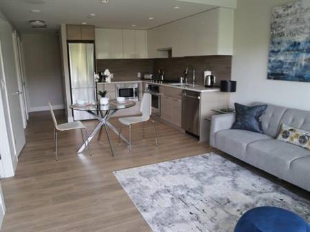 Furnished 1BDRM +Den@River District