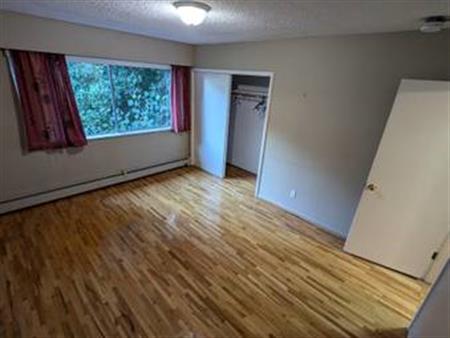 Large 1 Bedroom Great Location