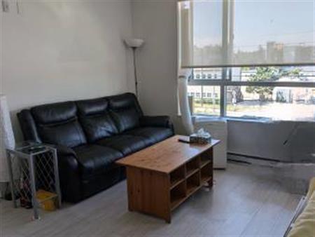 2 bedroom 2 bathroom furnished apartment for rent