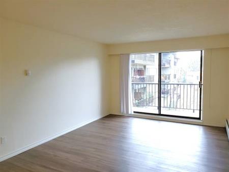 1 bedroom fully renovated!!!