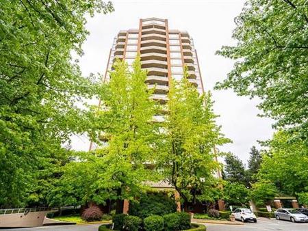 Metrotown Large Furnished One Bed Apartment For Rent