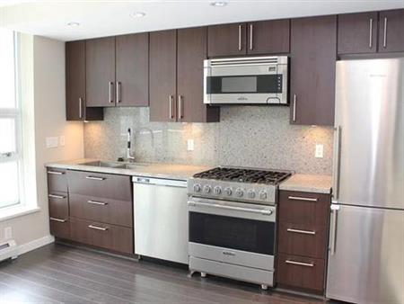 1Br 1Ba False Creek Condo for Rent (JANUARY ONLY)