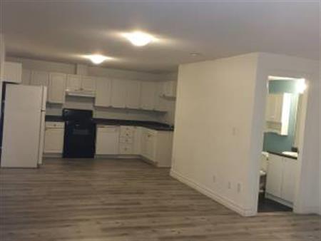 2 Bedroom Basement Suite for Rent