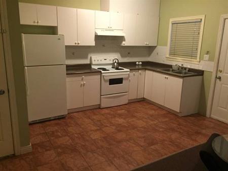 2 bedroom 1 bathroom basement for rent. Available Oct 1st