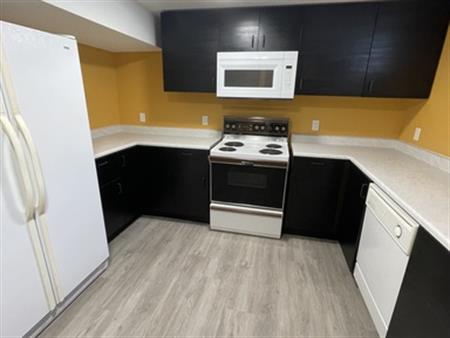 (PN0008-2) Quiet Two Bedroom Basement Suite - West End | 15922 93A Ave NW, Edmonton