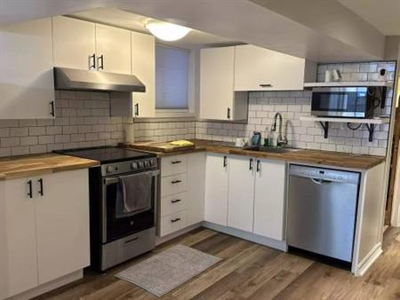 Fully Renovated 1 Bedroom Lower-Level Suite near TTC Subway Station