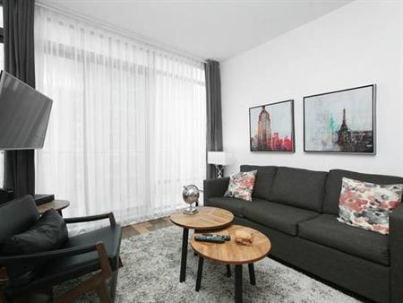 Toronto Furnished Condo Rental-1 Bed Suite,High-End Furnishing, Balcon