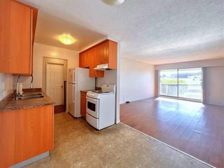 Renovated 1 Bedroom Apartment Coquitlam