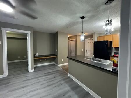 Brand new Luxury Vinyl Plank Flooring. New lighting. | 204 - 3719 Whitelaw Ln NW, Edmonton