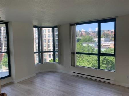 Pets Allowed - Bright & Renovated 1 Bed, 1bath apartment