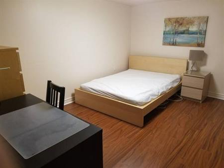 NEWLY RENOVATED BASEMENT APT AVAIL NOW TO YOUNG PROFESSIONAL