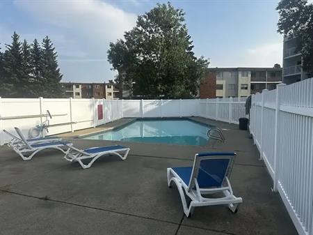 3 bedroom with a pool! | 3835 107 Street Northwest, Edmonton