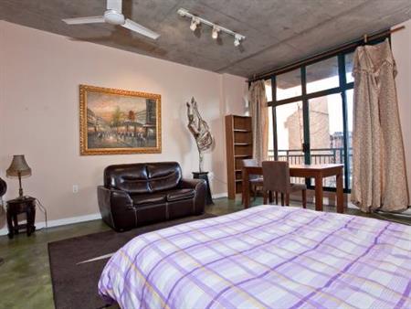 Available November 1st - Pet Friendly Furnished Studio @ 22E Cordova