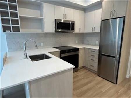 Brand New 1 Bedroom + Flex Room Apartment